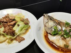 -小蝌蚪·寻·月嫂(普陀总部)