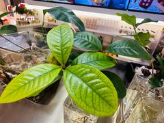 -Mr.Fruits水果先生(蓝色港湾店)