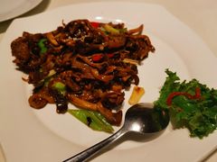 XO酱干烧农场蘑菇-觅唐MITONG(鸟巢店)