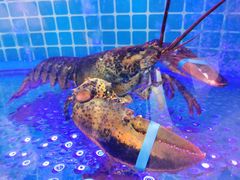 -汤记传菜(浦江店)