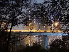 -南山植物园