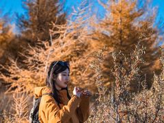-灵山