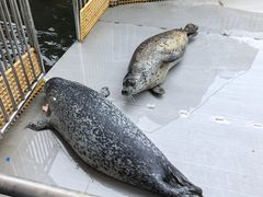-西安华夏文旅水世界