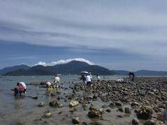 -花海间·即刻露营