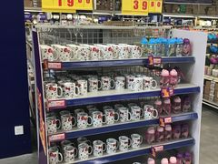 -麦德龙(嘉定店)