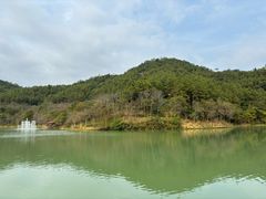 -广州白江湖森林公园