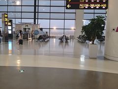 -郑州新郑国际机场-T2航站楼