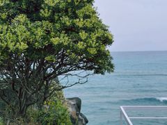 -咸德海水浴场