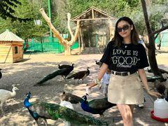 -水上乐园·欢乐世界