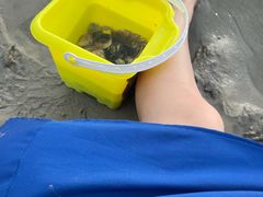 -红树林天天赶海
