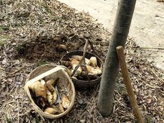 -雅达·阳羡溪山小镇中心