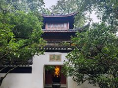 -虎跑公园