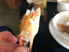 -渔公码头海货全海鲜自助(海滨旅游路店)