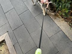 -瑞派康怡24h宠物医院·犬猫医疗中心·微创绝育(瑞景分院)