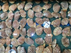 -渔民新村(番禺总店)