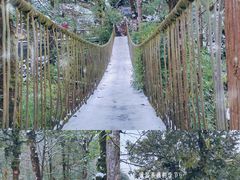-龙苍沟森林公园