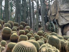 -南山植物园
