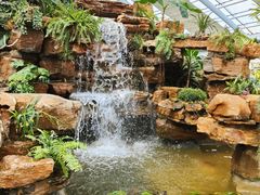 -济南植物园
