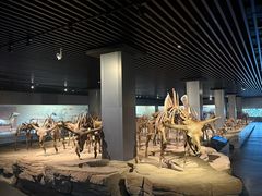 -大庆市博物馆