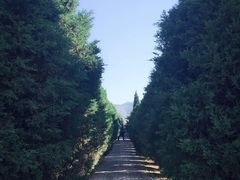 -秦始皇帝陵博物院-丽山园