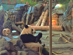 -武汉动物园