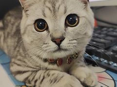 -上海市松江区中心医院