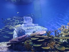 -海合安武汉极地海洋公园