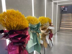 -变画·发型STUDIO