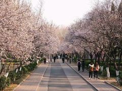 -山东师范大学(千佛山校区)