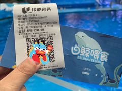 -海合安成都极地海洋公园