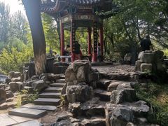 -莲湖公园