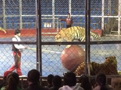 iphone_upload_pic-西安秦岭野生动物园