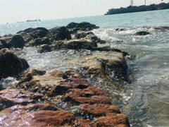 -日照灯塔风景区