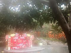 -融汇温泉