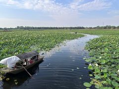 -焦岗湖旅游度假区