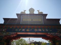 -武清南湖绿博园