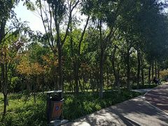 -大兴滨河森林公园