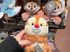 -迪士尼小镇