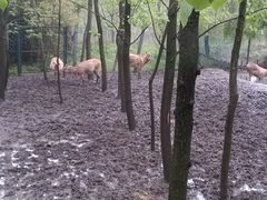 景点-溱湖国家湿地公园