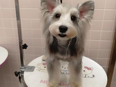 -FAELING PETS美天灵宠物(富力广场店)