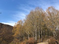 -玉渡山自然风景区