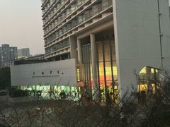 -同济大学附属同济医院分院