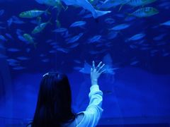 -成都浩海立方海洋公园