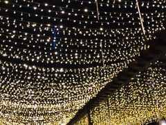 -财神鸡煲(华强北店)