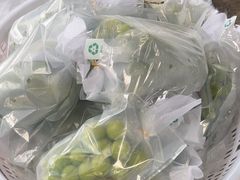 -马陆小张葡萄园农家乐