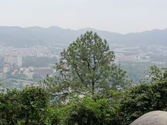 -火炉山森林公园