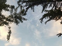 -羊亭河湿地公园