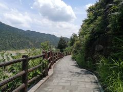 -羚羊峡古栈道森林公园