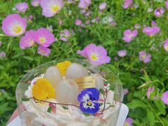 -卷心卷意·轻甜蛋糕(新光天地店)