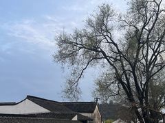 -绍兴古城